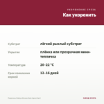 Георгины Dalaya Meena Kala (срез/3шт) — как укоренить черенок
