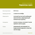 Георгины Dalaya Meena Suna (0,1л) — параметры сорта