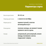 Георгины Dalaya Meena Suna (срез/3шт) — параметры сорта