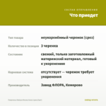 Георгины Dalaya Meena Suna (срез/3шт) — что приедет