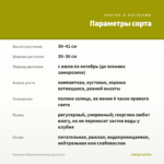 Георгины Dalaya Meena Suna (срез/3шт) — параметры сорта