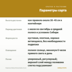 Георгины Dalaya Meena Zarina (0,1л) — параметры сорта
