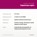 Георгины Dalaya Mini Cruzilia (0,1л) — параметры сорта