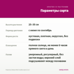 Георгины Dalaya Mini Cruzilia (срез/3 шт) — параметры сорта