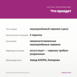 Георгины Dalina Midi Malta (срез/3 шт) — что приедет