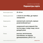 Георгины Darling Orange Flare (0,1л) — параметры сорта