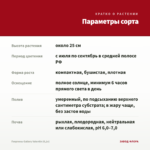 Георгины Gallery Valentin (0,1л) — параметры сорта