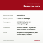 Георгины Gallery Valentin (0,1л) — параметры сорта