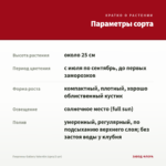 Георгины Gallery Valentin (срез/3 шт) — параметры сорта