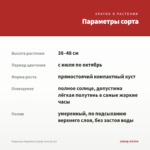Георгины Hypnotica Candy Corn (0,1л) — параметры сорта