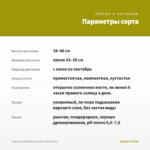 Георгины Hypnotica Lemon Swirl (0,1л) — параметры сорта