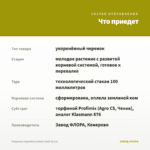 Георгины Hypnotica Lemon Swirl (0,1л) — что приедет