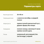 Георгины Hypnotica Lemon Swirl (0,1л) — параметры сорта