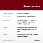Георгины Hypnotica Orange (0,1л.) — параметры сорта