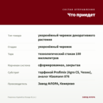 Георгины Hypnotica Orange (0,1л.) — что приедет