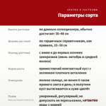 Георгины Hypnotica Red (0,1л) — параметры сорта