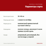Георгины Hypnotica Red (0,1л) — параметры сорта
