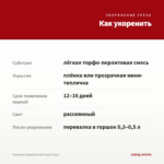 Георгины Hypnotica Red (срез/3 шт) — как укоренить черенок