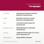 Георгины Hypnotica Tropical Breeze (0,1л) — что приедет