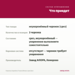 Георгины Hypnotica Tropical Breeze (срез/3шт) — что приедет