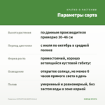 Георгины HYPNOTICA WHITE (0,1л) — параметры сорта