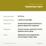 Георгины Hypnotica Yellow (0,1л) — параметры сорта