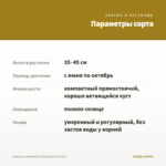 Георгины Hypnotica Yellow Bicolor (0,1л) — параметры сорта