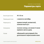 Георгины Hypnotica Yellow (срез/3шт) — параметры сорта