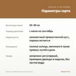 Георгины Labbella Grande Fun Caramel (0,1л) — параметры сорта