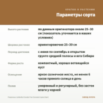 Георгины Labbella Grande Fun Caramel (срез/3шт) — параметры сорта