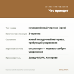 Георгины Labbella Grande Fun Caramel (срез/3шт) — что приедет
