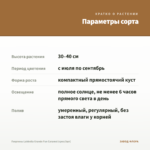 Георгины Labbella Grande Fun Caramel (срез/3шт) — параметры сорта