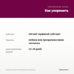 Георгины Labella Grande Magenta Impr. (срез/3шт) — как укоренить черенок