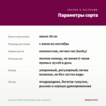 Георгины Labella Grande Magenta Impr. (срез/3шт) — параметры сорта