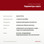 Георгины Labella Maggiore FIRE (0,1л) — параметры сорта