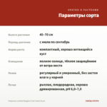 Георгины Labella Maggiore Fun Flame (0,1л) — параметры сорта