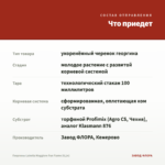 Георгины Labella Maggiore Fun Flame (0,1л) — что приедет