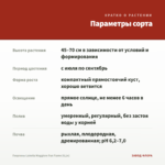 Георгины Labella Maggiore Fun Flame (0,1л) — параметры сорта