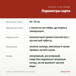 Георгины Labella Maggiore Fun Flame (срез/3шт) — параметры сорта
