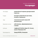 Георгины Labella Maggiore Rose Bicolour (0,1л) — что приедет