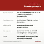 Георгины LABELLA MEDIO FUN ORANGE FLAME (0,1л) — параметры сорта