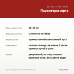 Георгины LABELLA MEDIO FUN ORANGE FLAME (0,1л) — параметры сорта