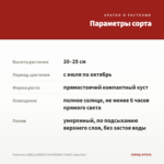 Георгины LABELLA MEDIO FUN ORANGE FLAME (срез/3шт) — параметры сорта