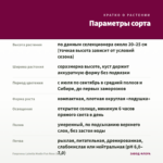 Георгины Labella Medio Fun Rose (0,1л) — параметры сорта