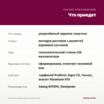 Георгины Labella Medio Fun Rose (0,1л) — что приедет