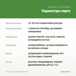 Георгины Labella Piccolo White (0,1л) — параметры сорта