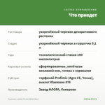 Георгины Labella Piccolo White (0,1л) — что приедет