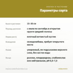 Георгины Labella Piccolo Yellow (0,1л) — параметры сорта