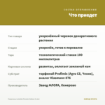 Георгины Labella Piccolo Yellow (0,1л) — что приедет