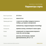 Георгины Labella Piccolo Yellow (срез/3шт) — параметры сорта